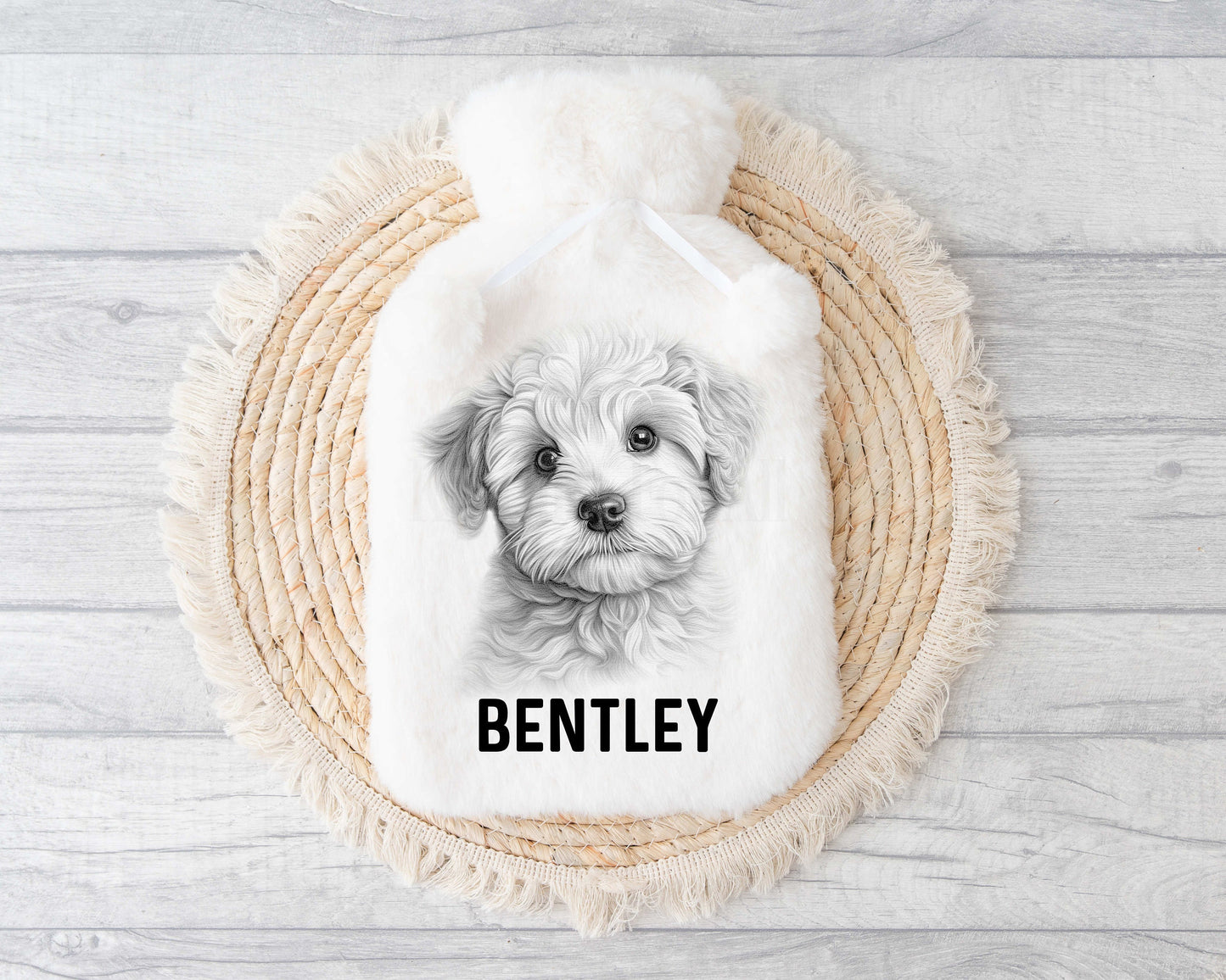 Bichon Frise Hot Water, Personalised Fog Lover Gift, Gift For Bichon Frisé Lover or Owner, Sketchy Dog