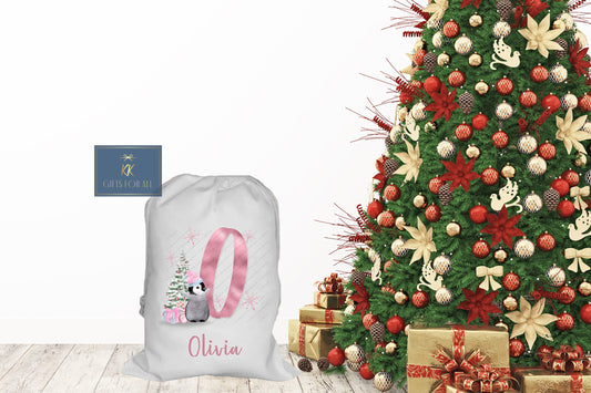 Personalsied Christmas Santa Sack Father Christmas Bag, Pink Penguin Father Christmas Sack, Name & Initial