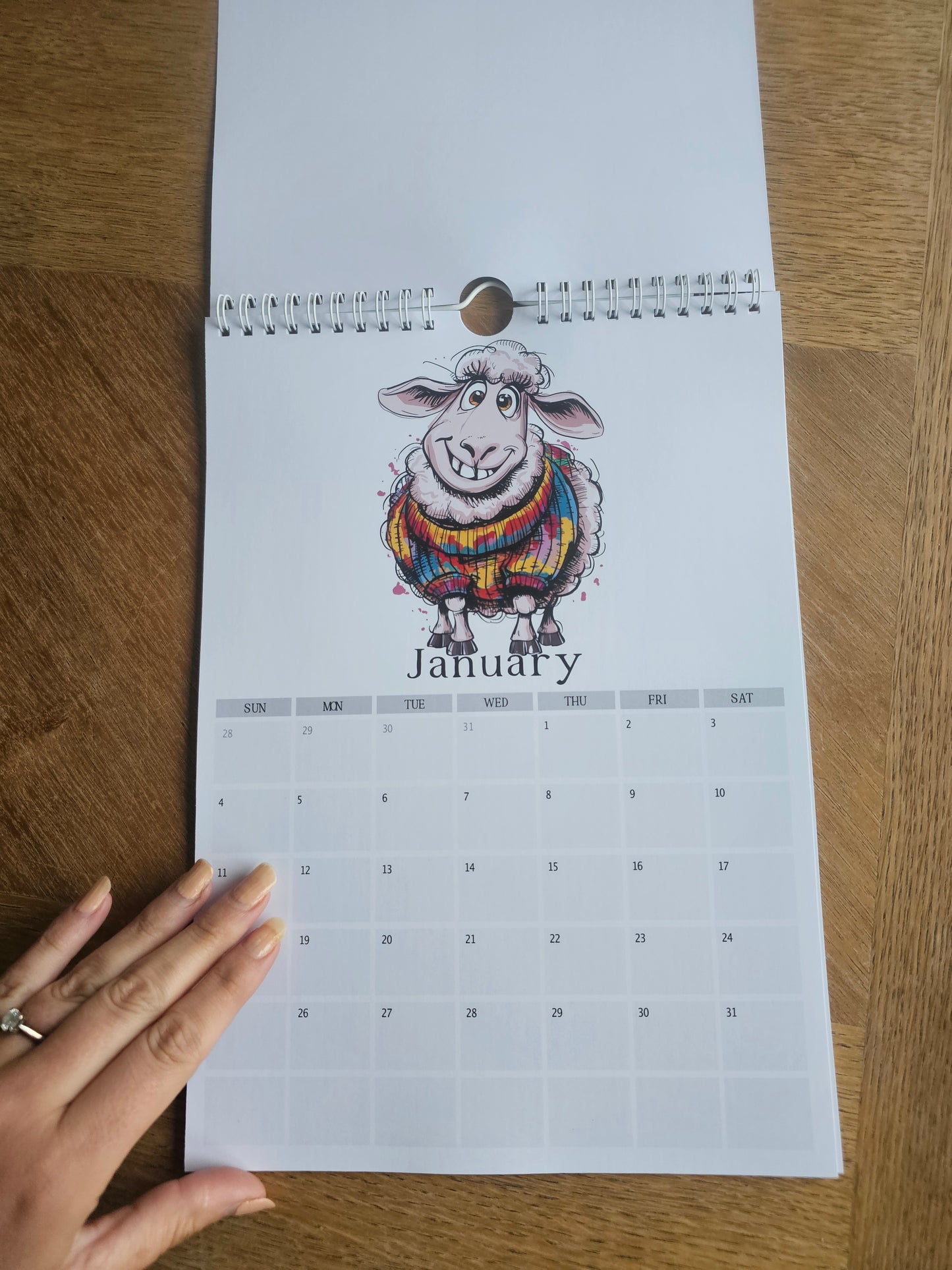 2026 Quirky Sheep Wall Calendar – Funny Sheep Farm Animal Planner