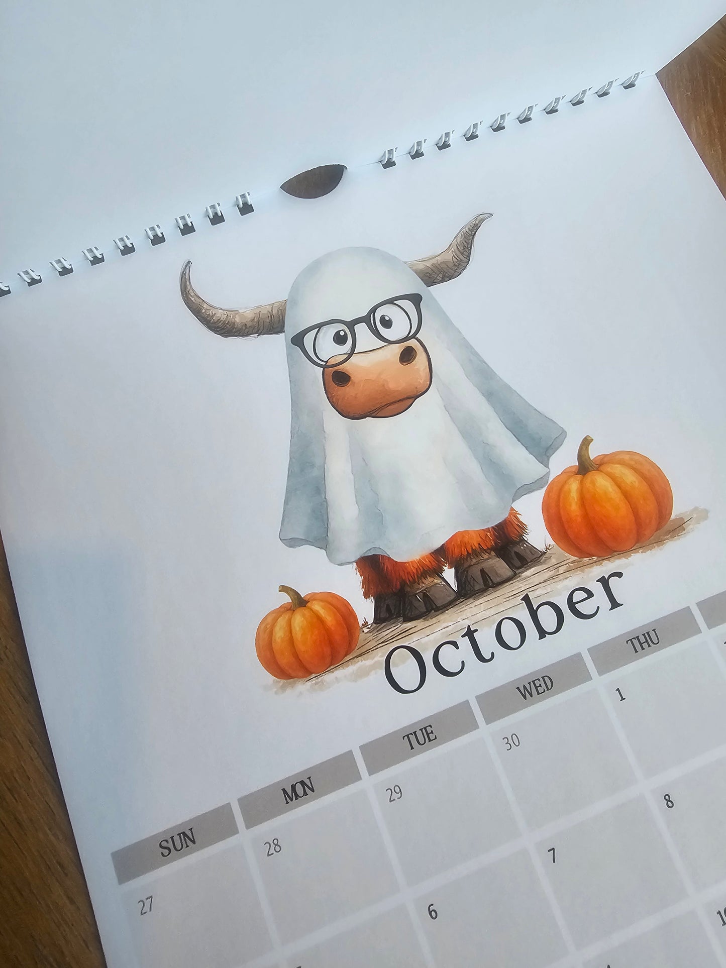 2026 Quirky Highland Cow Calendar, Funny Highland Cow Wall Calendar, Farm Animal A4 Monthly Planner